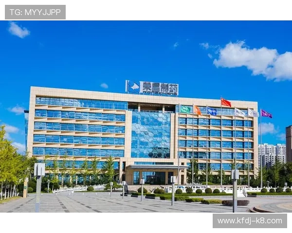 凯发集团会员注册不了的原因分析与详细解决方案指南