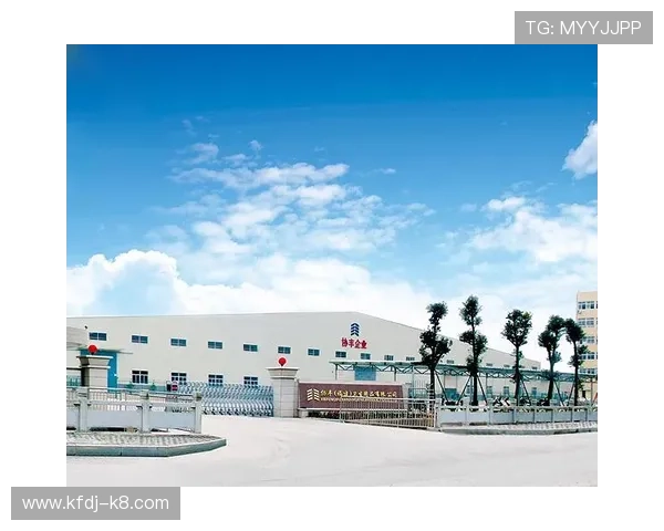 凯发集团官网首页网址官方入口地址，确保安全访问官网的详细步骤